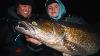 Monsters Of Europe Fishing For Giant Zander Film